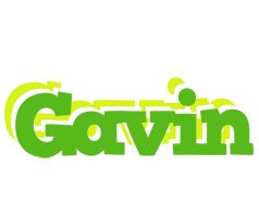 Gavin picnic logo