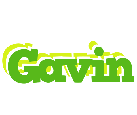 Gavin picnic logo