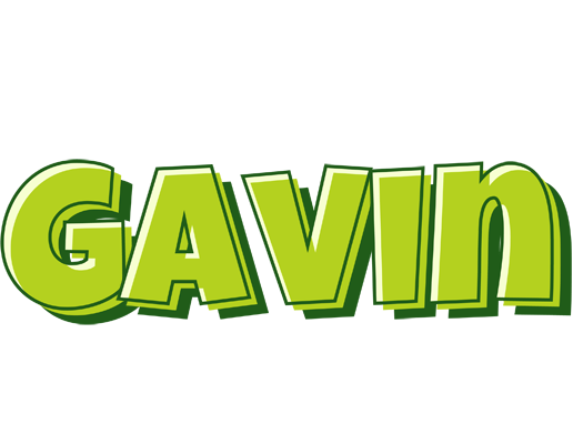 Gavin summer logo