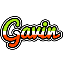 Gavin superfun logo