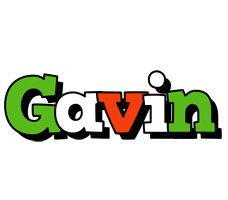 Gavin venezia logo