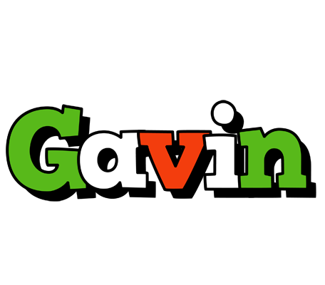 Gavin venezia logo
