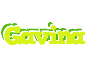 Gavina citrus logo