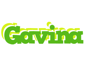 Gavina picnic logo