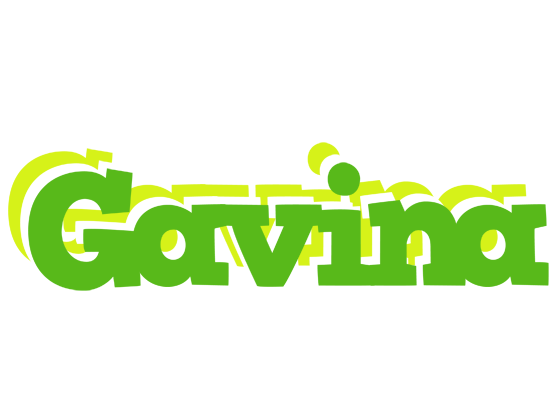 Gavina picnic logo