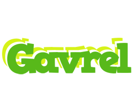 Gavrel picnic logo