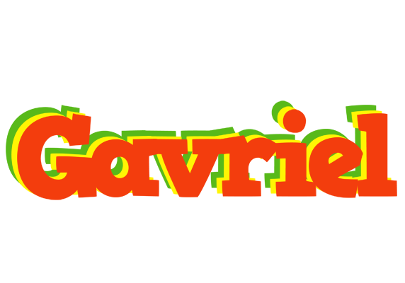 Gavriel bbq logo