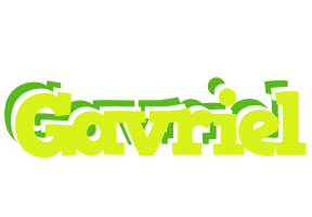 Gavriel citrus logo