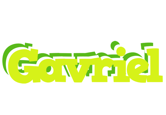 Gavriel citrus logo
