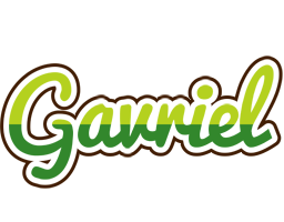 Gavriel golfing logo