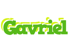 Gavriel picnic logo