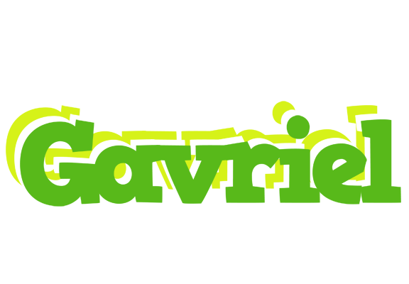 Gavriel picnic logo