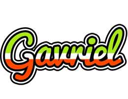 Gavriel superfun logo