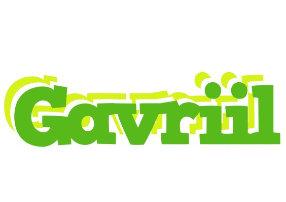 Gavriil picnic logo