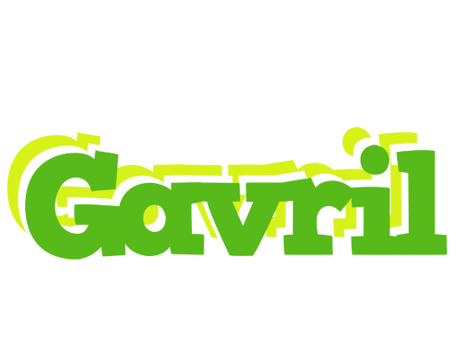 Gavril picnic logo