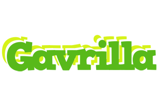 Gavrilla picnic logo