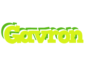 Gavron citrus logo