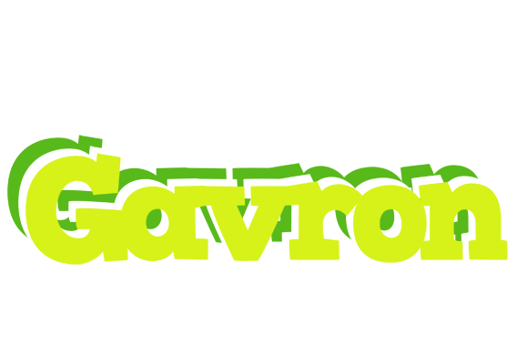 Gavron citrus logo
