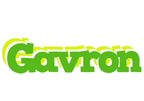 Gavron picnic logo