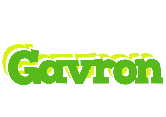 Gavron picnic logo