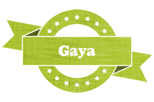 Gaya change logo