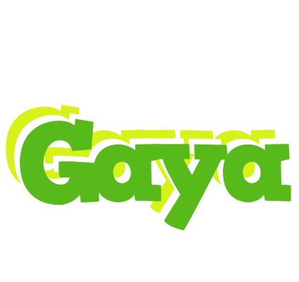 Gaya picnic logo