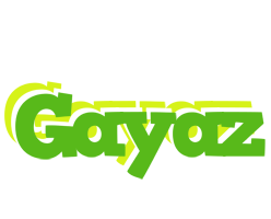 Gayaz picnic logo