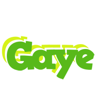 Gaye picnic logo