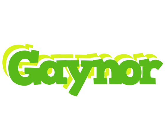 Gaynor picnic logo