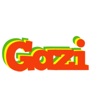 Gazi bbq logo