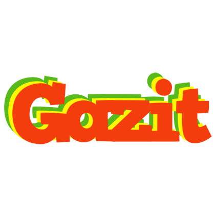 Gazit bbq logo