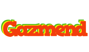 Gazmend bbq logo