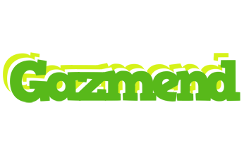 Gazmend picnic logo