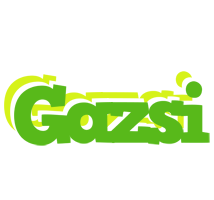 Gazsi picnic logo