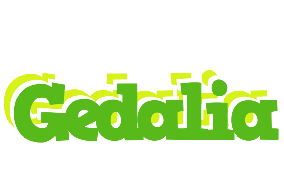 Gedalia picnic logo