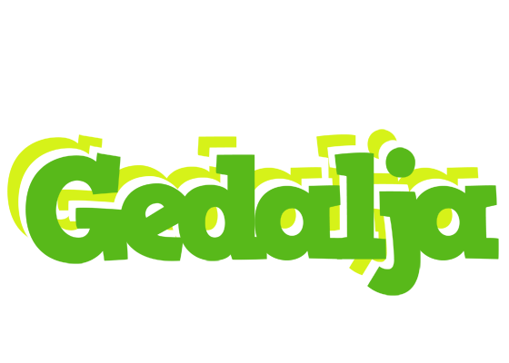 Gedalja picnic logo