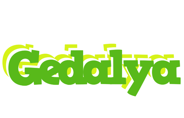 Gedalya picnic logo