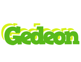 Gedeon picnic logo