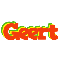 Geert bbq logo