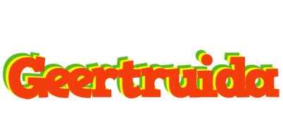 Geertruida bbq logo