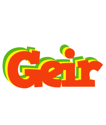 Geir bbq logo