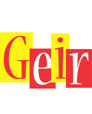 Geir errors logo