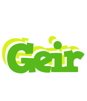 Geir picnic logo