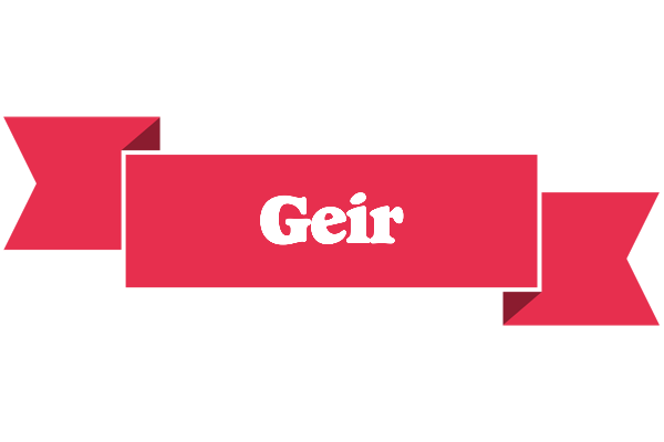 Geir sale logo