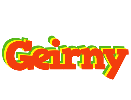Geirny bbq logo