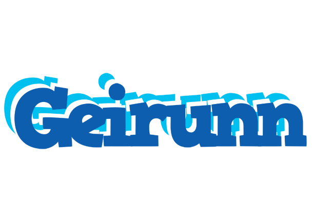 Geirunn business logo
