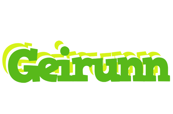 Geirunn picnic logo