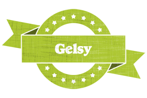 Gelsy change logo