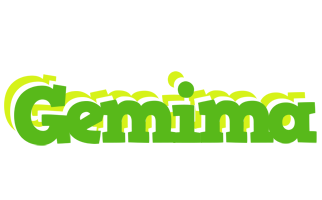 Gemima picnic logo