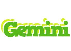 Gemini picnic logo